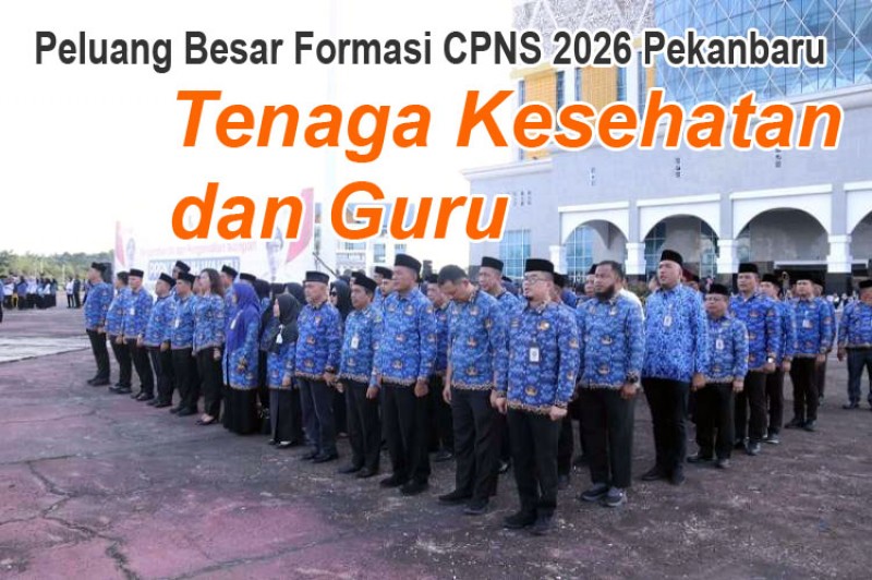 Pekanbaru Siapkan Formasi CPNS 2026: Peluang Besar Tenaga Kesehatan dan Guru, Saatnya Curi Start Belajar!