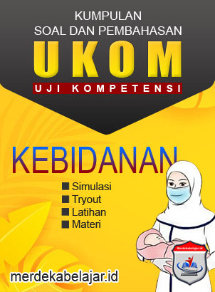 Bidan Terampil dan Ahli Pertama